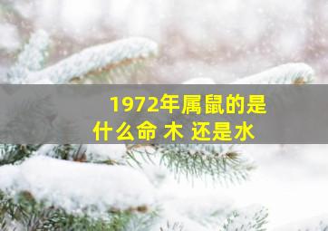 1972年属鼠的是什么命 木 还是水